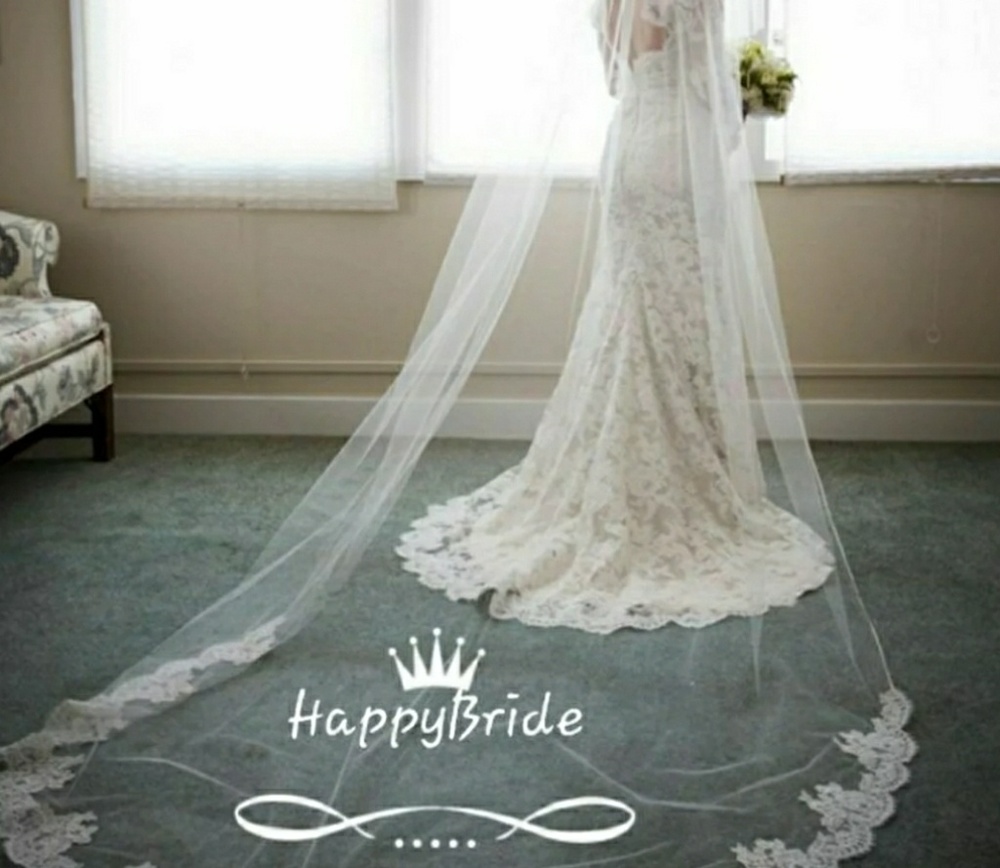 Ivory Cathedral Lace & Sequins Veil